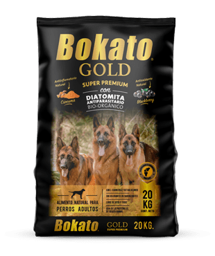 heroína Activar gato Alimento Bokato Gold Adulto - BOKATO Norte