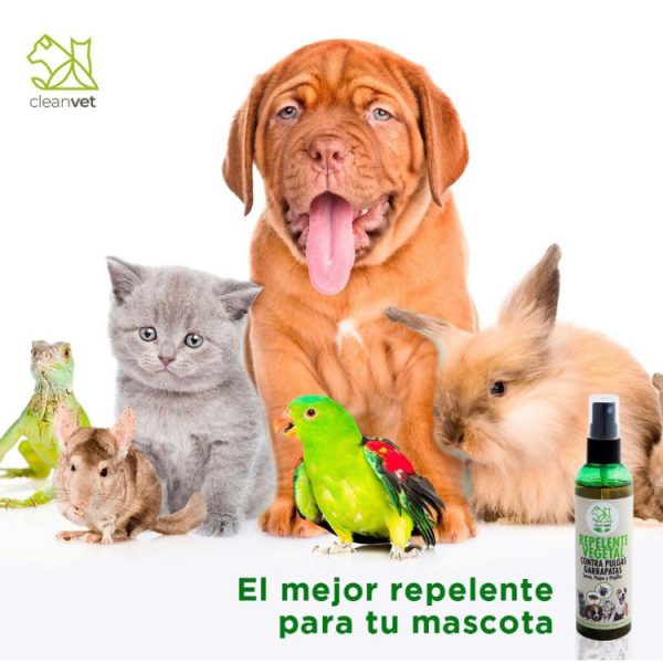 Repelente Natural para pulgas y garrapatas Cleanvet - Image 3