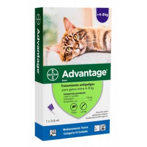 Pipeta Advantage Gatos