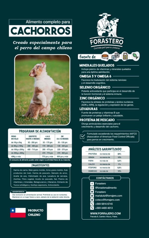 Alimento Forastero cachorro 10 kg - Image 2