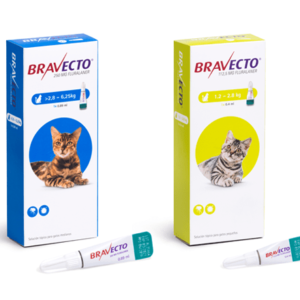 Bravecto Pipeta para gatos