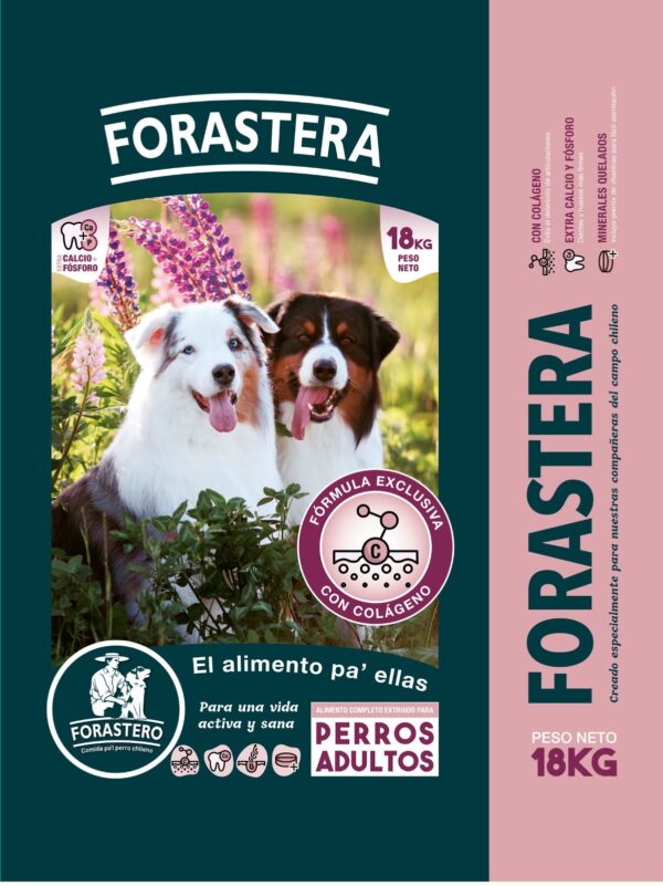 Alimento Forastera Adultos
