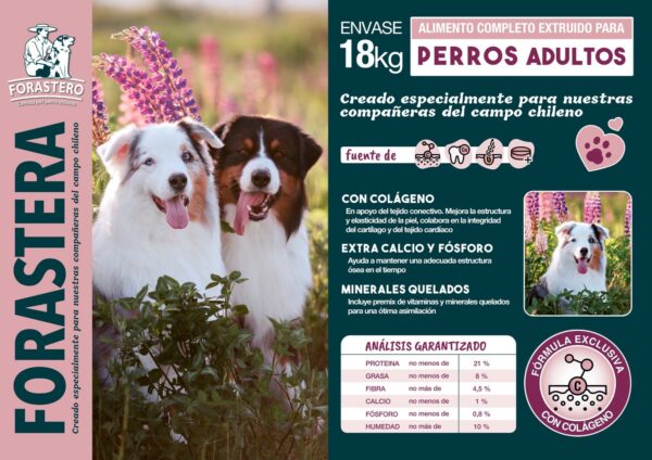Alimento Forastera Adultos - Image 3